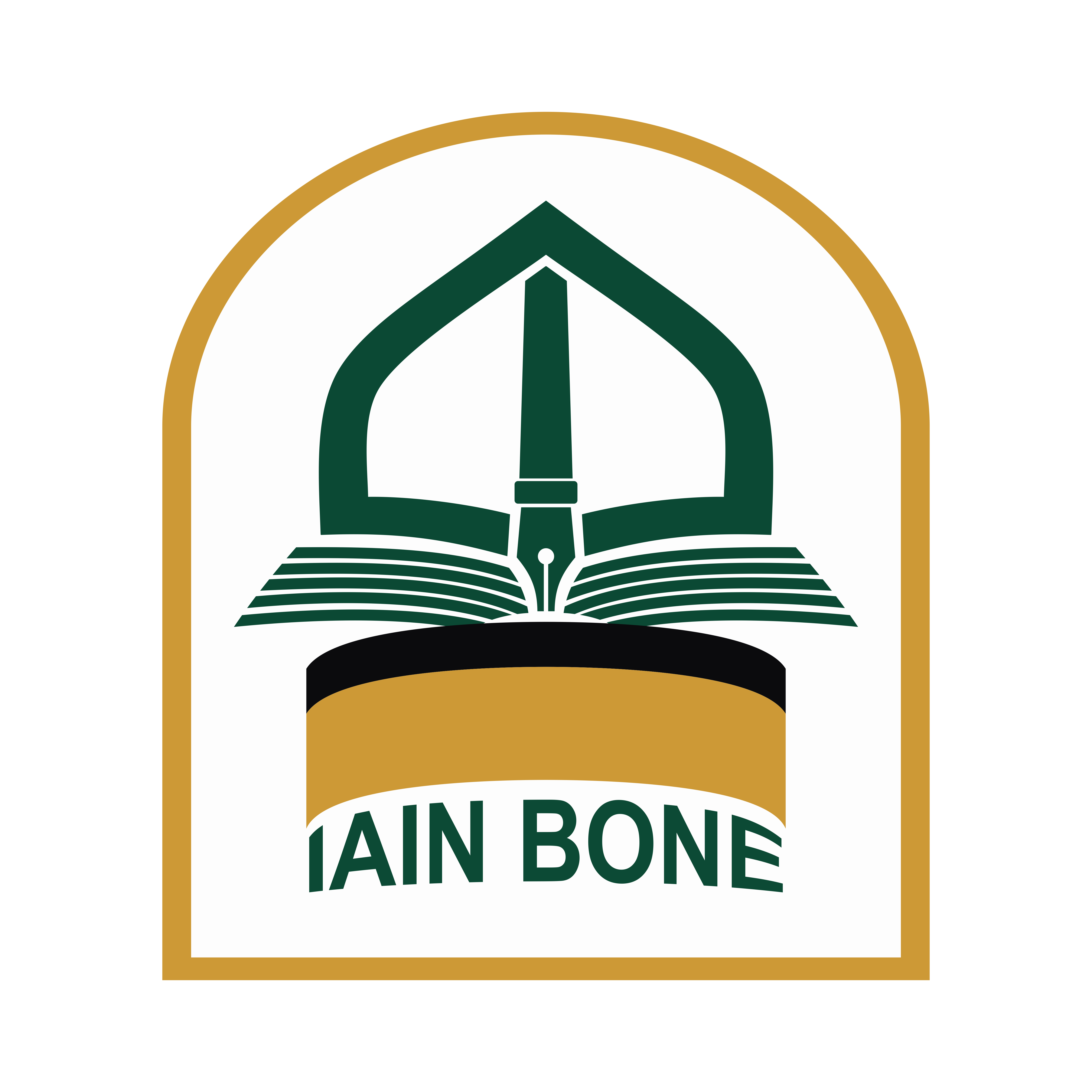 Iain Bone